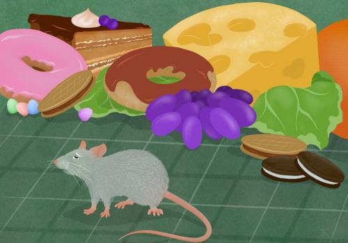 Understanding the Mechanisms of Appetite Suppressants